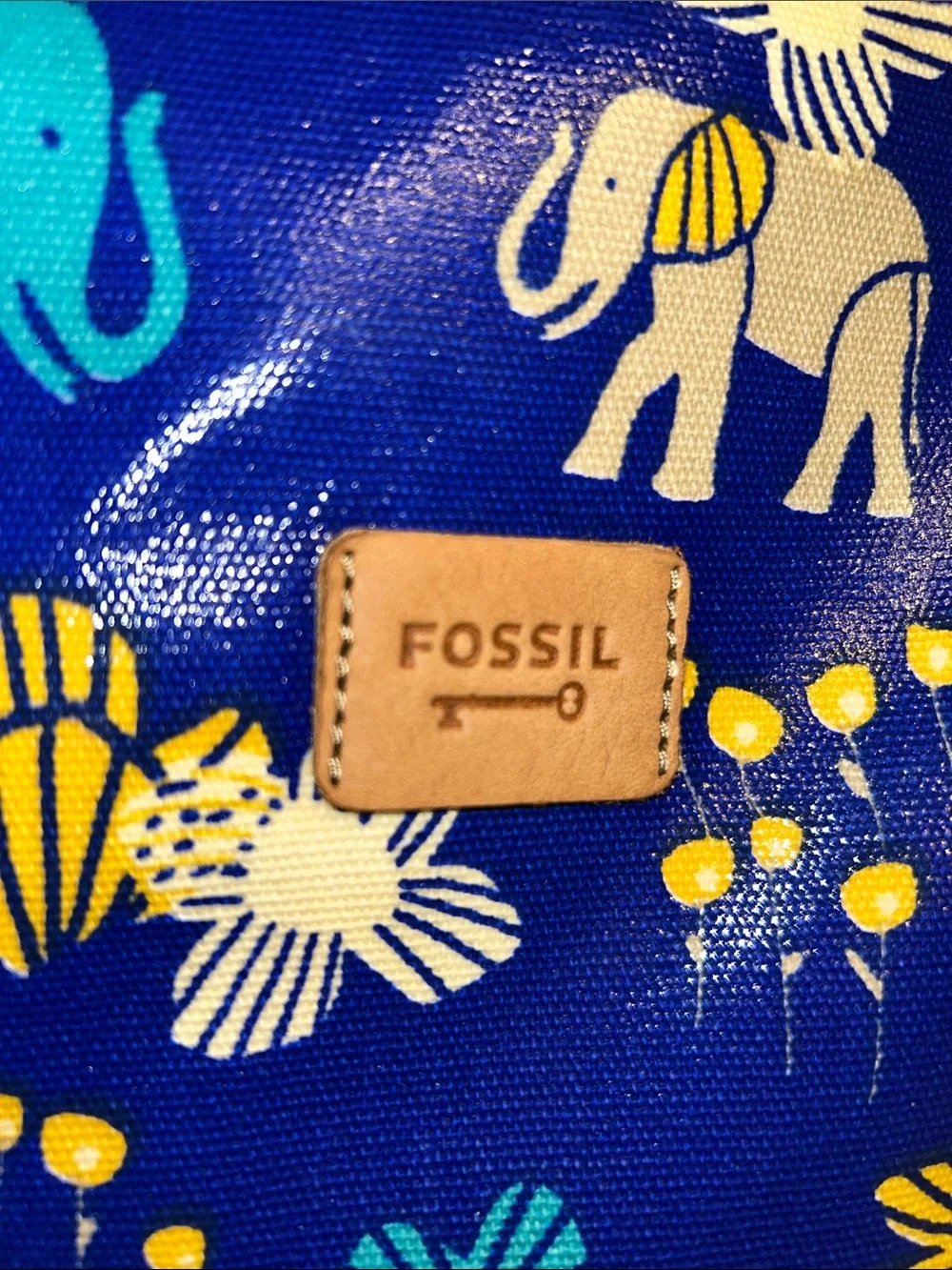 Fossil colorful zip